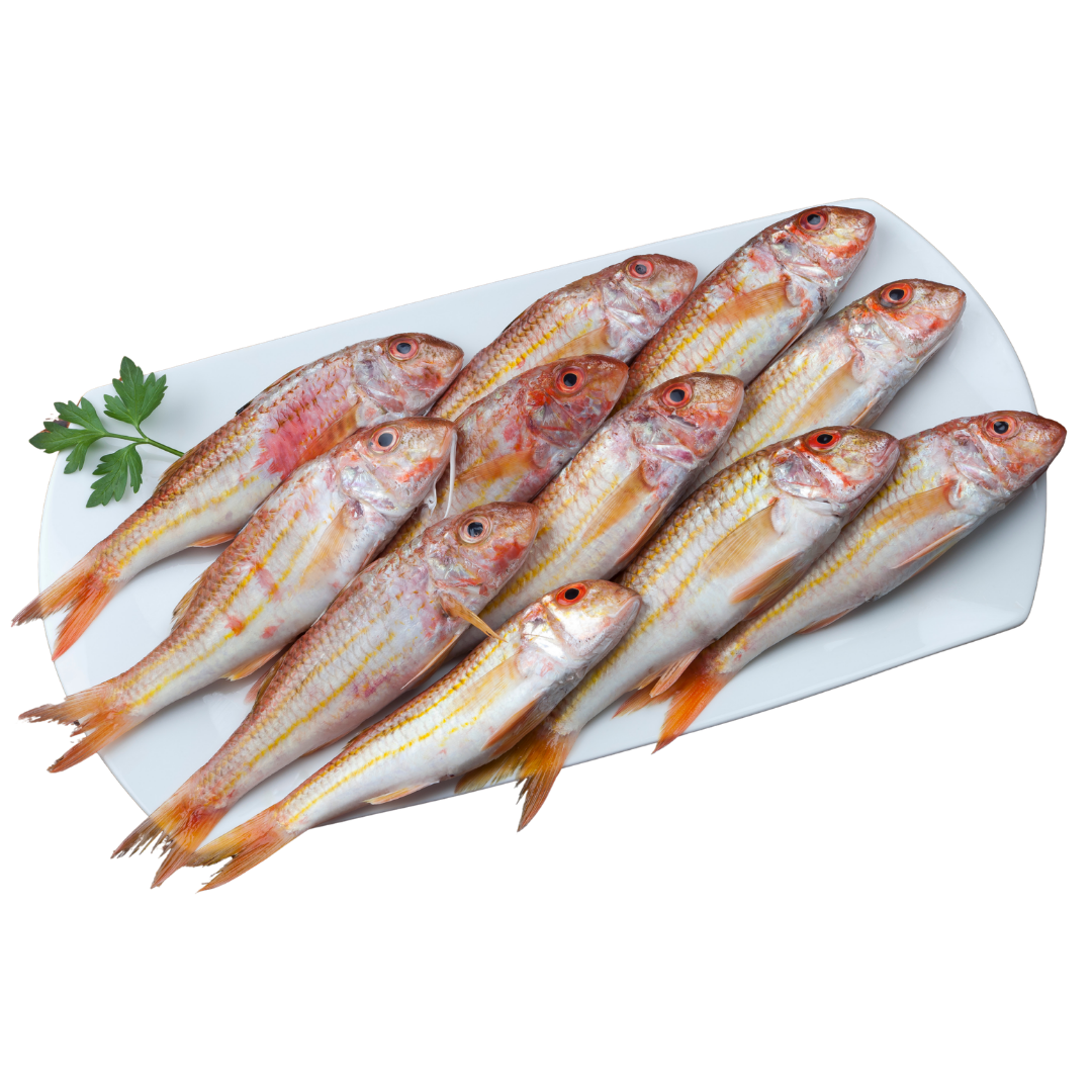 High Protein